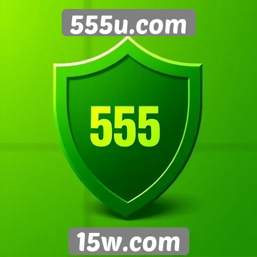 Avaliação da segurança e privacidade no 555u.com